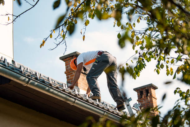 Best Roof Gutter Cleaning  in Adelino, NM