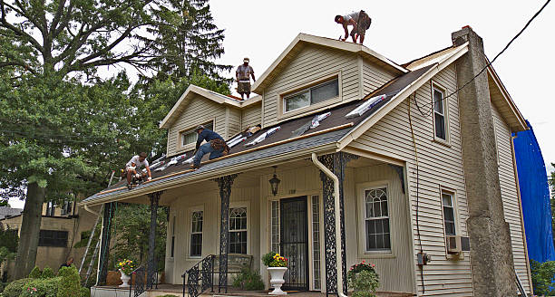 Best Storm Damage Roof Repair  in Adelino, NM